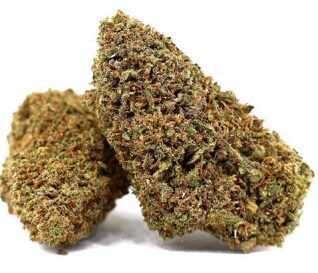 CBD Kanapių Žiedai „PINEAPPLE JET“ – Premium kokybė